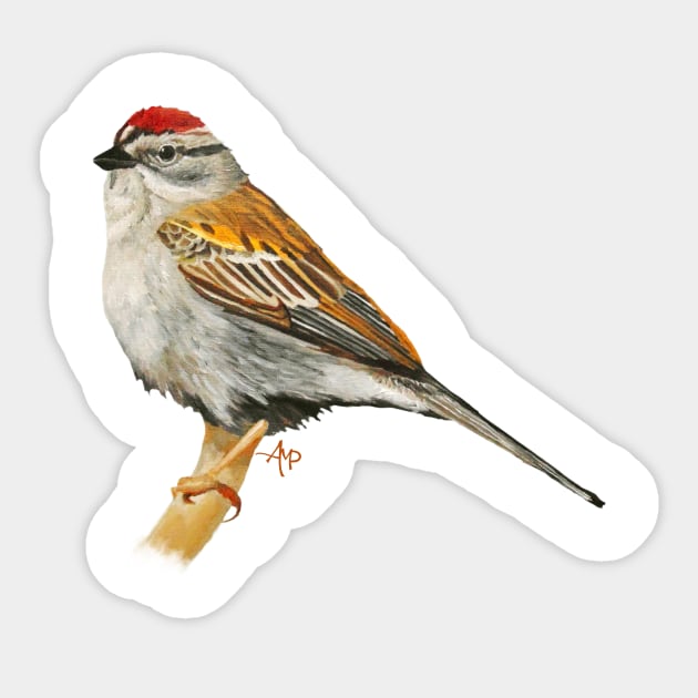 Colorful Chipping Sparrow Sticker by ampomata